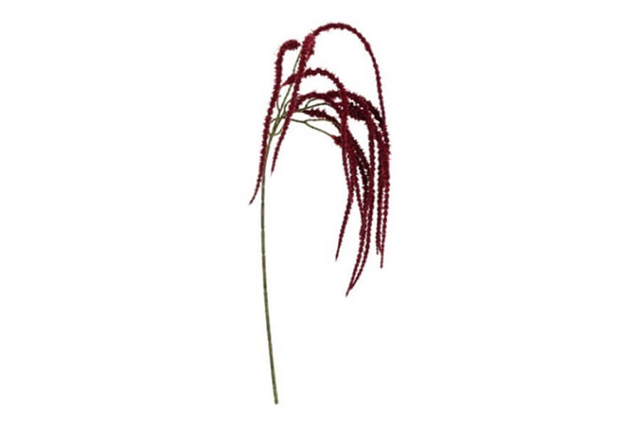 Kunstig Blomst Amaranthus Bordeaux
