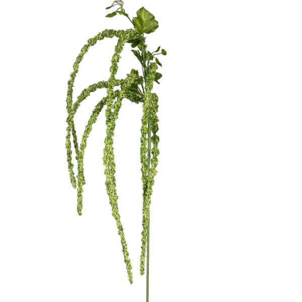 Kunstig Blomst Amaranthus Grøn