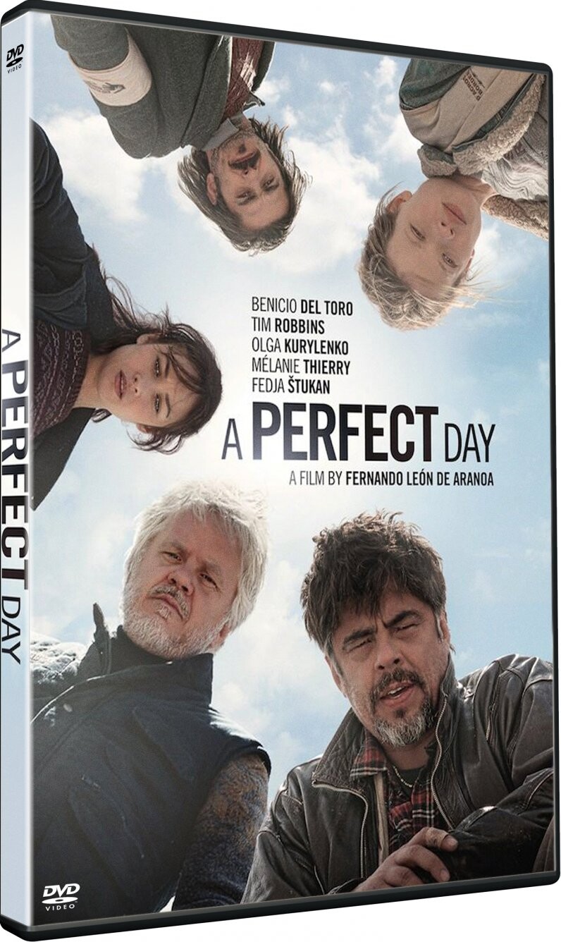 A Perfect Day   Dvd   Film