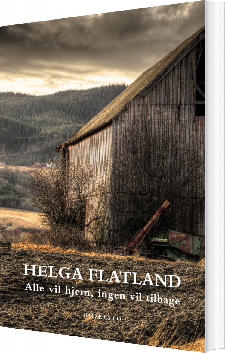 Alle Vil Hjem  Ingen Vil Tilbage   Helga Flatland   Bog
