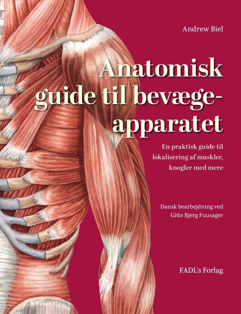 Anatomisk Guide Til Bevægeapparatet   Andrew Biel   Bog