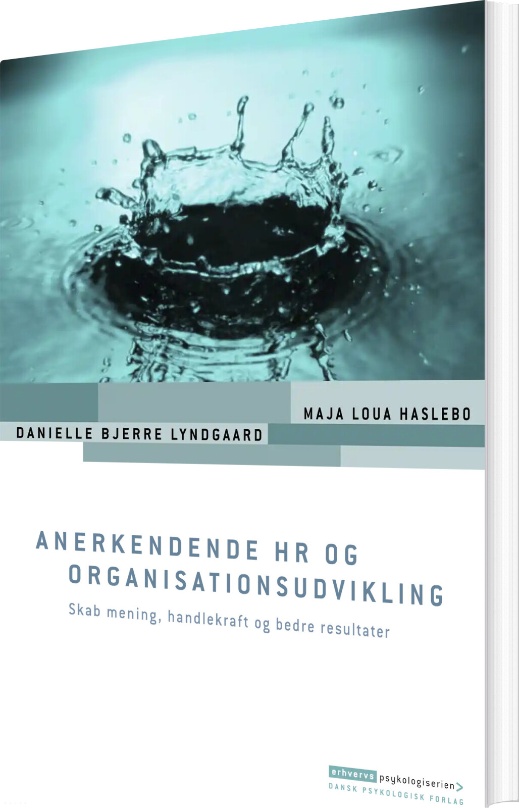 Anerkendende Hr Og Organisationsudvikling   Maja Loua Haslebo   Bog