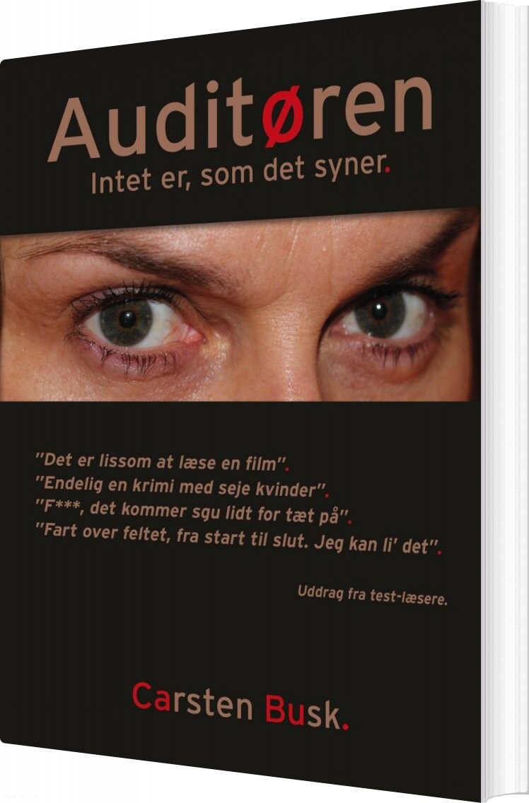 Auditøren   Carsten Busk   Bog