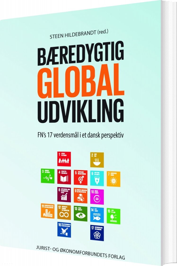 Bæredygtig Global Udvikling   Steen Hildebrandt   Bog