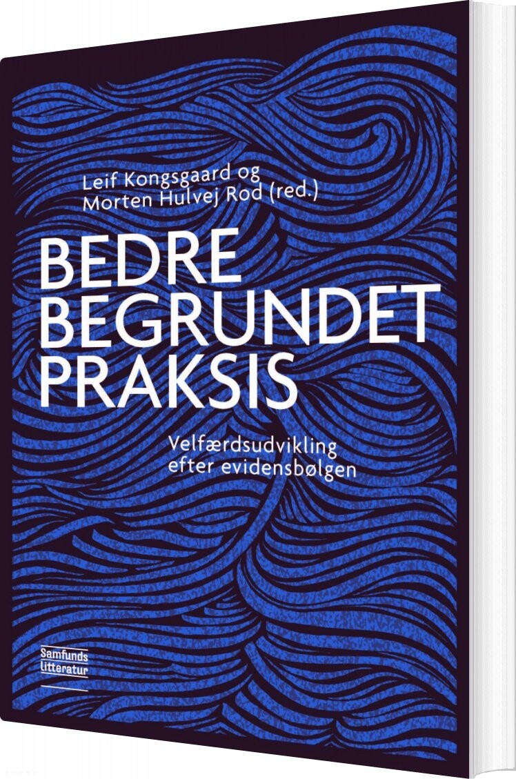 Bedre Begrundet Praksis   Morten Hulvej Rod  Red    Bog