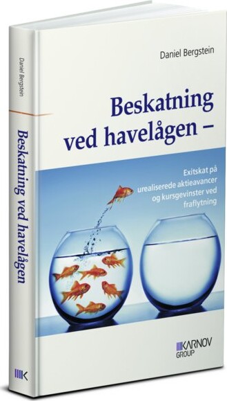 Beskatning Ved Havelågen   Daniel Bergstein   Bog