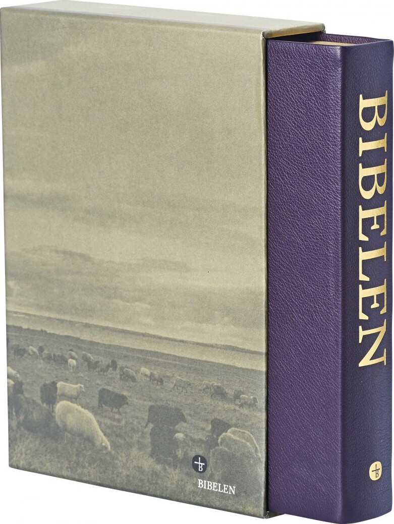 Bibelen Med Det Gamle Testamentes Apokryfe Bøger   Stort Format   Bog