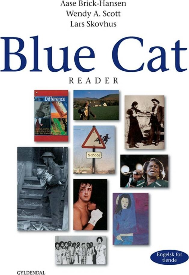 Blue Cat   Engelsk For Tiende   Aase Brick Hansen   Bog