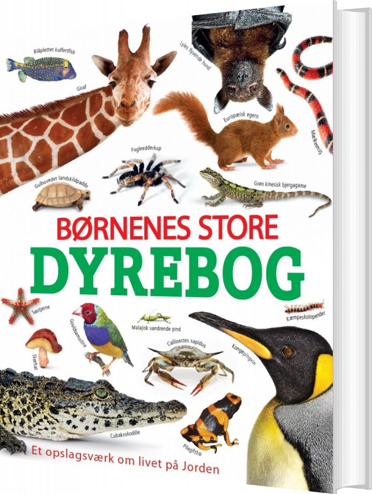 Børnenes Store Dyrebog   Bog