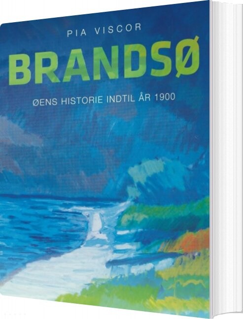 Brandsø   Pia Viscor   Bog