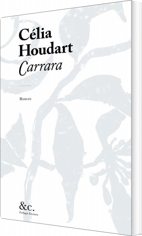 Carrara   C? Lia Houdart   Bog