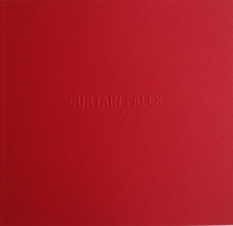 Curtain Falls   Carina Zunino   English Book