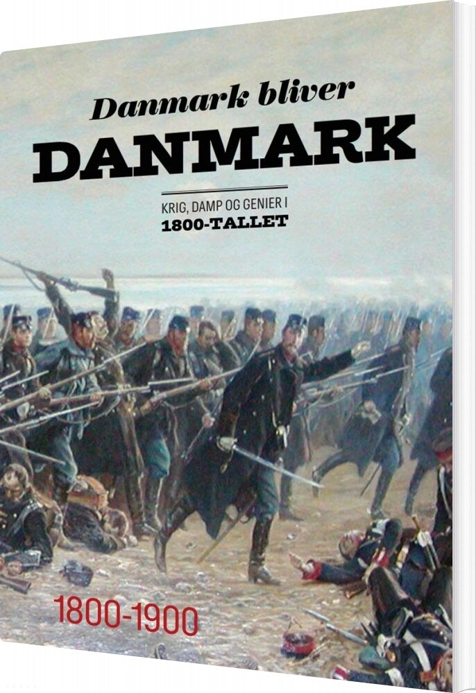 Danmark Bliver Danmark   Bog