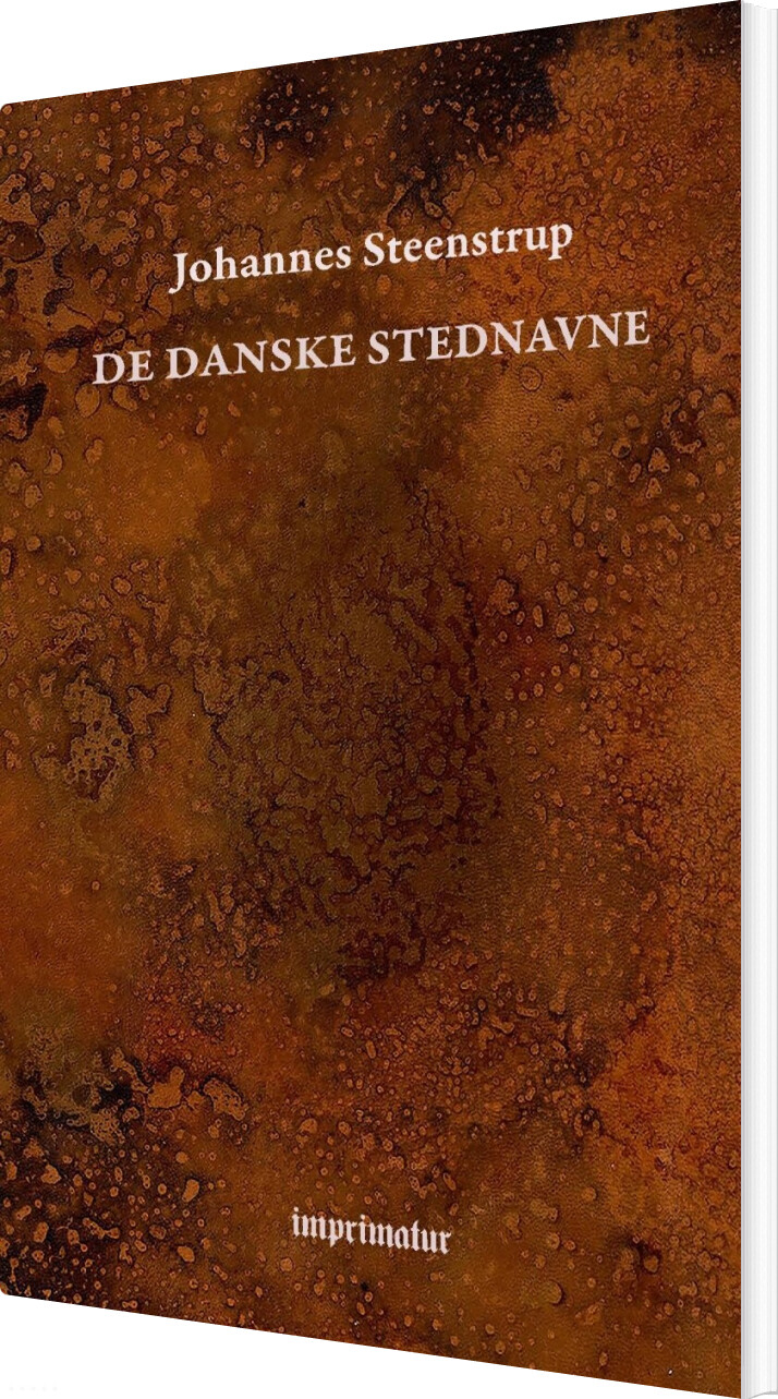 De Danske Stednavne   Johannes Steenstrup   Bog