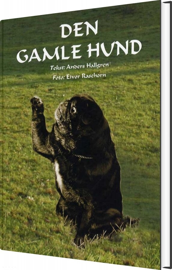 Den Gamle Hund   Anders Hallgren   Bog