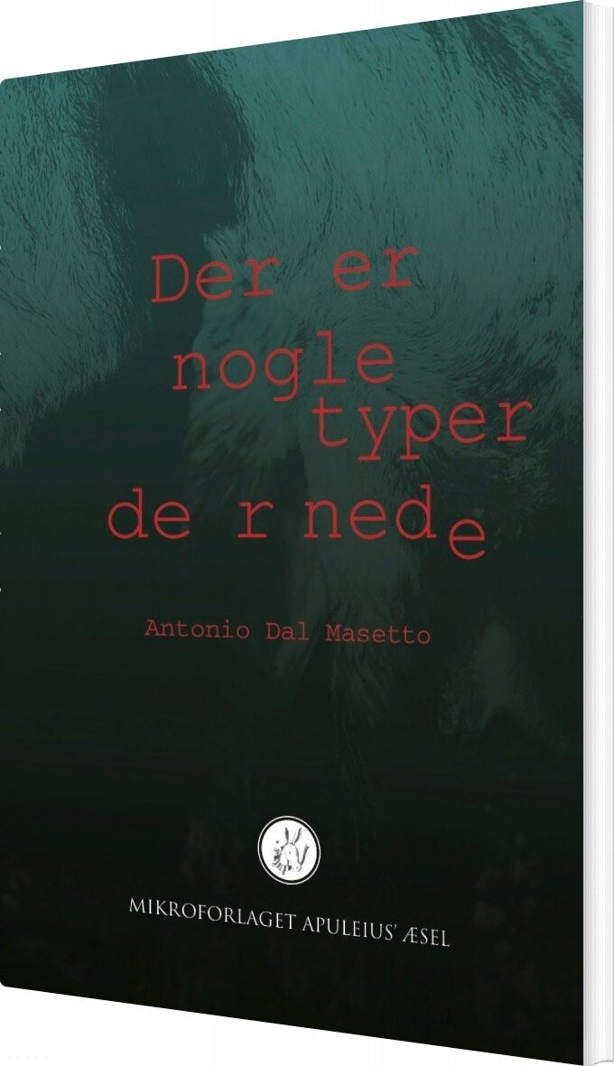 Der Er Nogle Typer Dernede   Antonio Dal Masetto   Bog