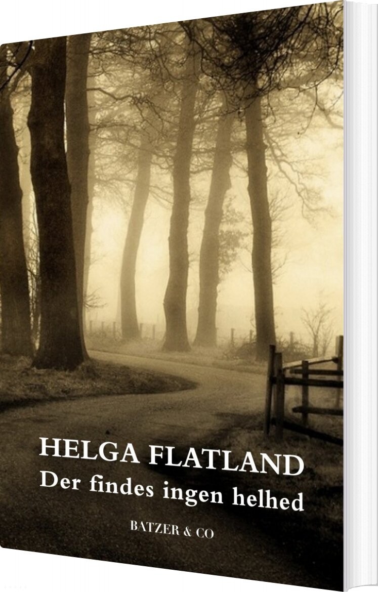 Der Findes Ingen Helhed   Helga Flatland   Bog