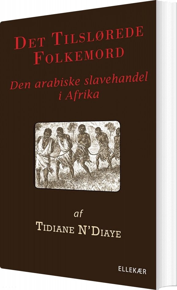 Det Tilslørede Folkemord   Tidiane N Diaye   Bog
