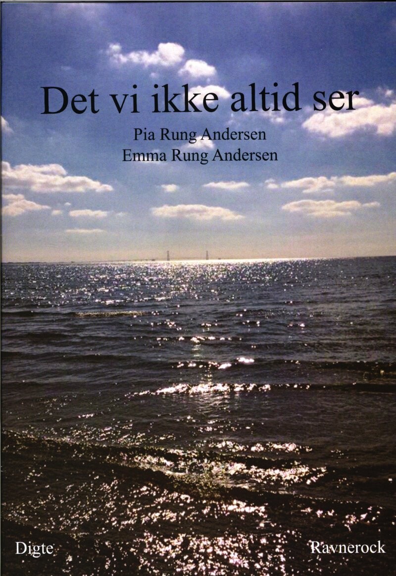 Det Vi Ikke Altid Ser   Pia Rung Andersen   Bog