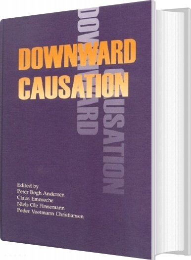 Downward Causation   Niels Ole Finnemann   English Book