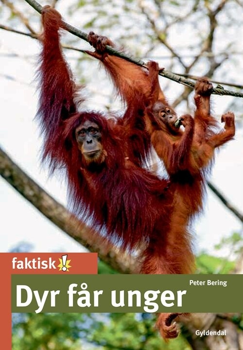 Dyr Får Unger   Peter Bering   Bog