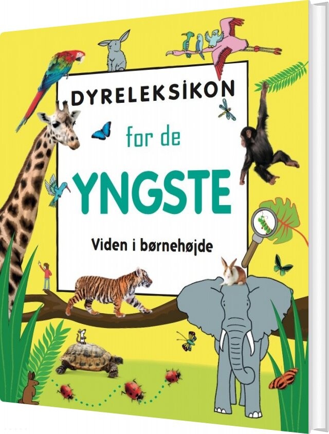Dyreleksikon For De Yngste   Bog