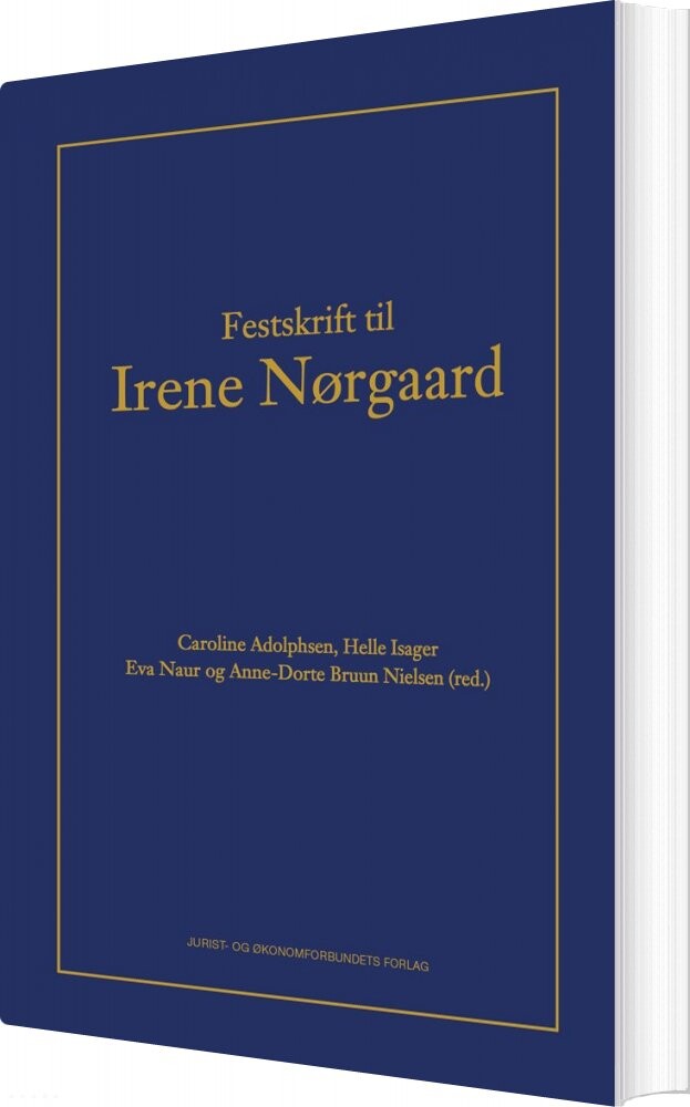 Festskrift Til Irene Nørgaard   Helle Isager   Bog