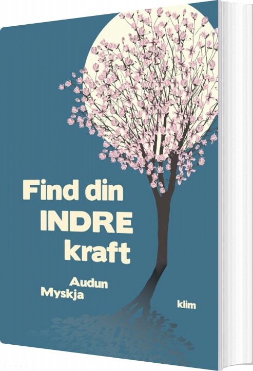 Find Din Indre Kraft   Audun Myskja   Bog