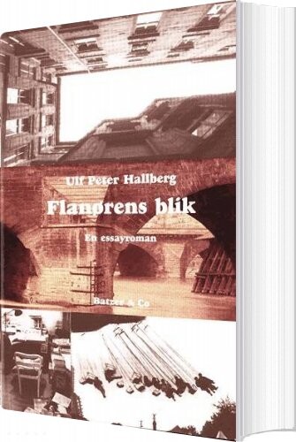 Flanørens Blik   Ulf Peter Hallberg   Bog