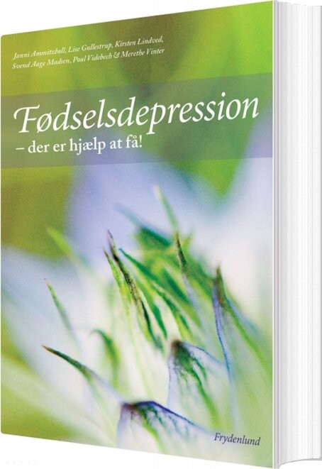 Fødselsdepression   Poul Videbech   Bog