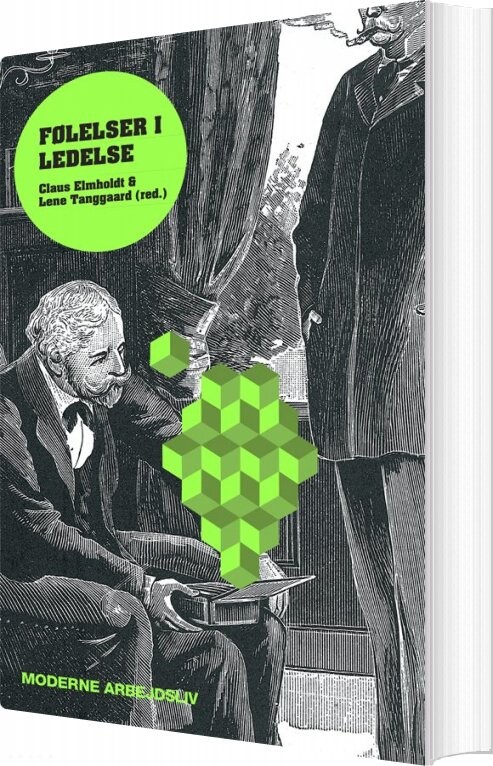 Følelser I Ledelse   Lene Tanggaard   Bog