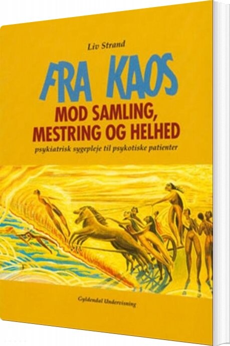 Fra Kaos Mod Samling  Mestring Og Helhed   Liv Strand   Bog