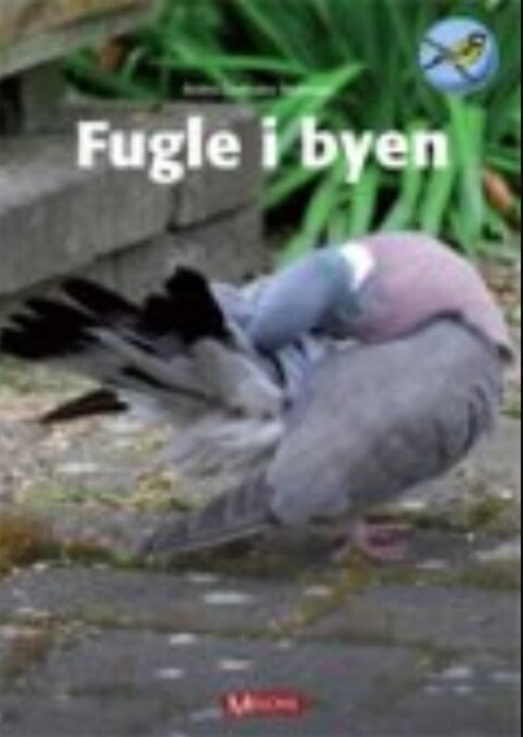 Fugle I Byen   Birthe Lindholm Pedersen   Bog
