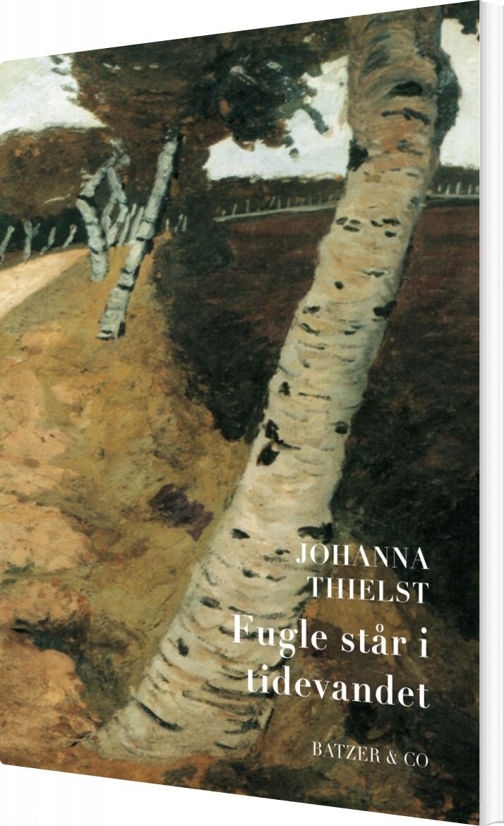 Fugle Står I Tidevandet   Johanna Thielst   Bog