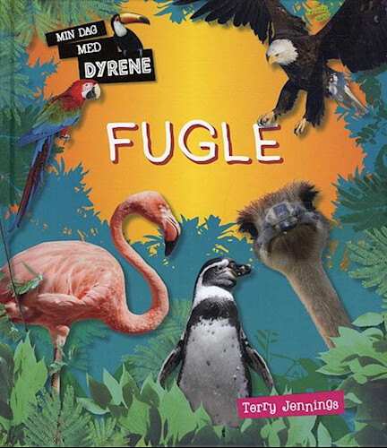 Fugle   Terry Jennings   Bog