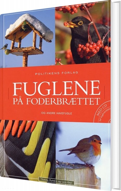 Fuglene På Foderbrættet Inkl  Cd   Tommy Dybbro   Bog