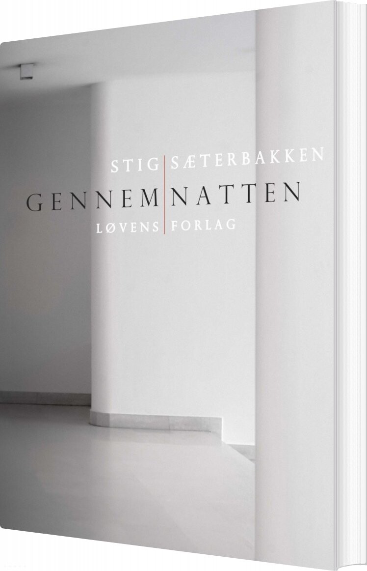 Gennem Natten   Stig Sæterbakken   Bog