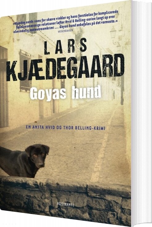 Goyas Hund   Lars Kjædegaard   Bog
