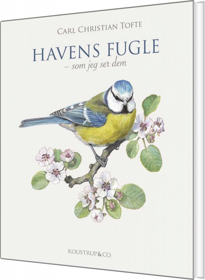 Havens Fugle   Carl Christian Tofte   Bog