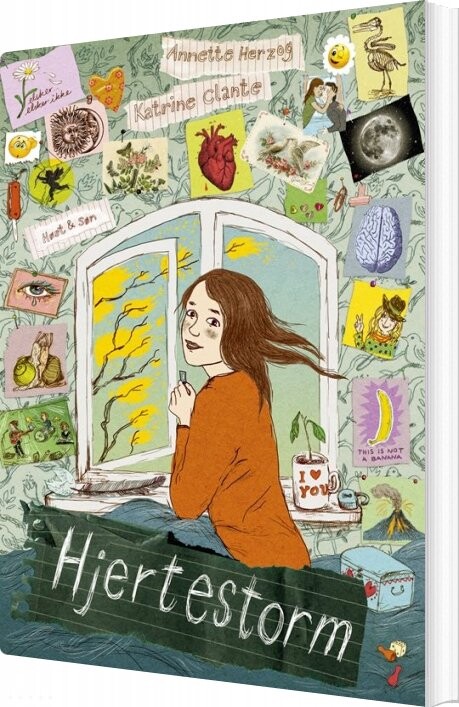 Hjertestorm   Annette Herzog   Bog
