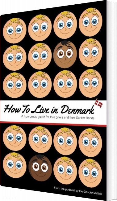 How To Live In Denmark   Kay Xander Mellish   English Book