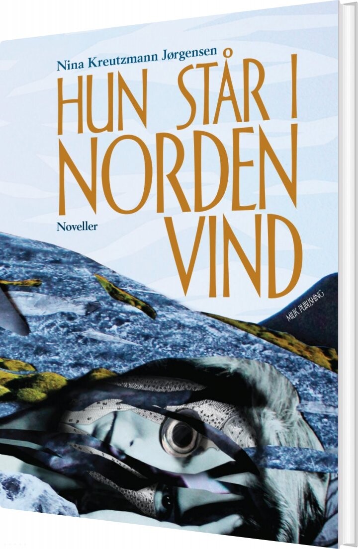 Hun Står I Nordenvind   Nina Kreutzmann Jørgensen   Bog
