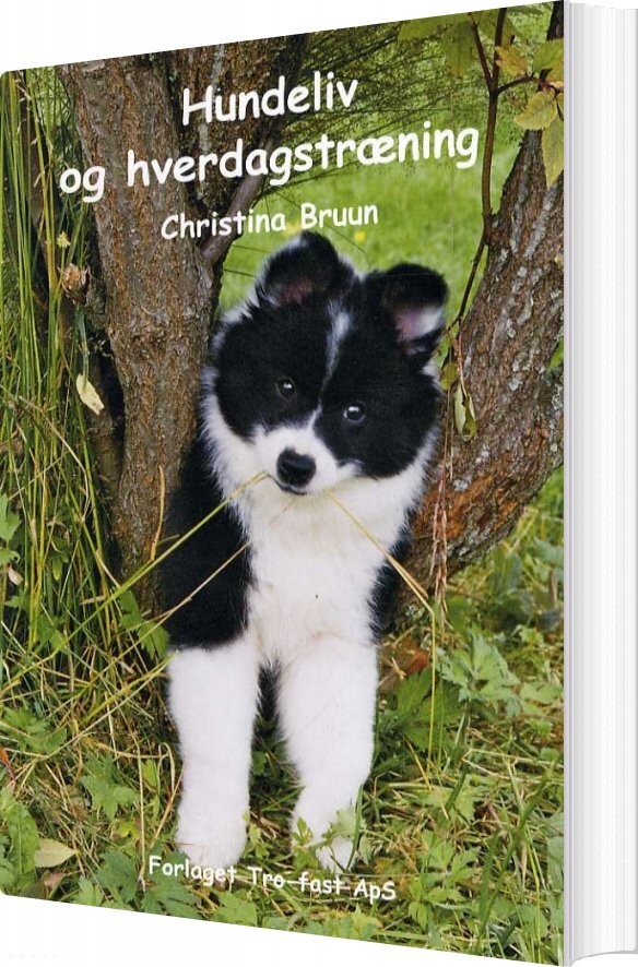 Hundeliv Og Hverdagstræning   Christina Bruun   Bog