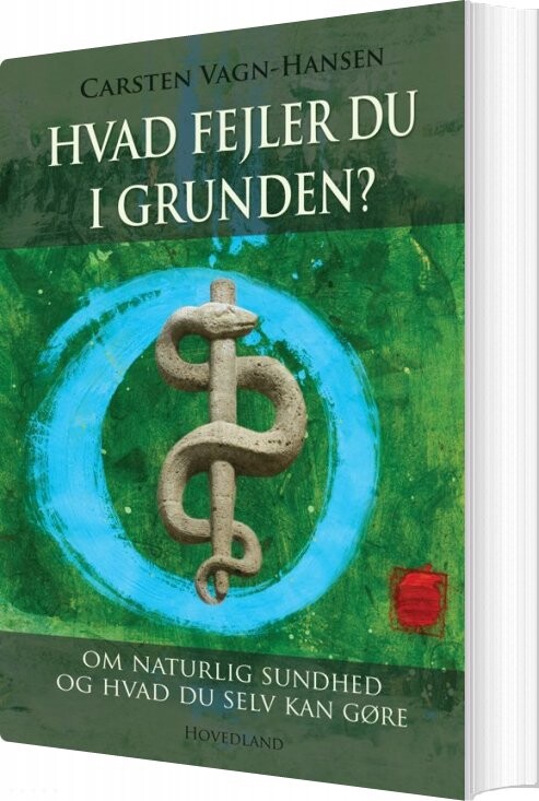 Hvad Fejler Du I Grunden    Carsten Vagn Hansen   Bog