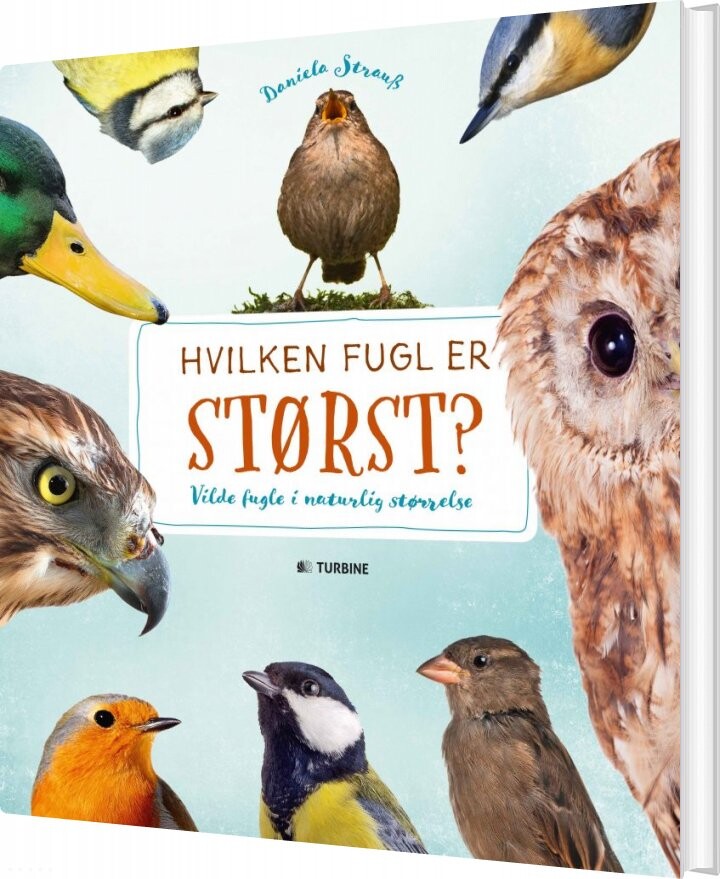 Hvilken Fugl Er Størst    Daniella Strauss   Bog