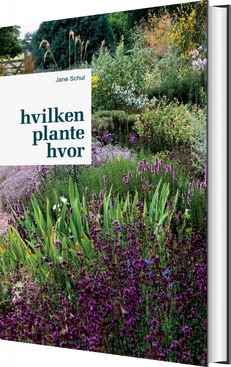 Hvilken Plante Hvor   Jane Schul   Bog