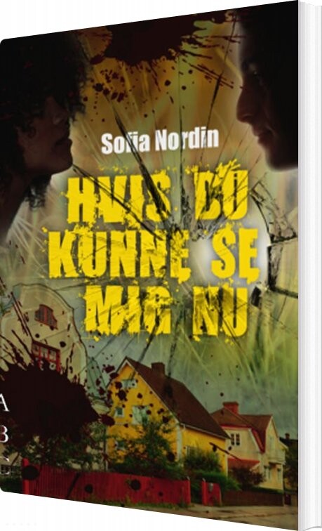 Hvis Du Kunne Se Mig Nu   Sofia Nordin   Bog