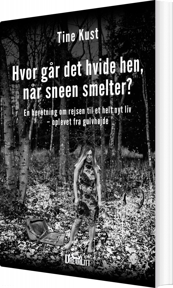 Hvor Går Det Hvide Hen  Når Sneen Smelter   Tine Kust   Bog