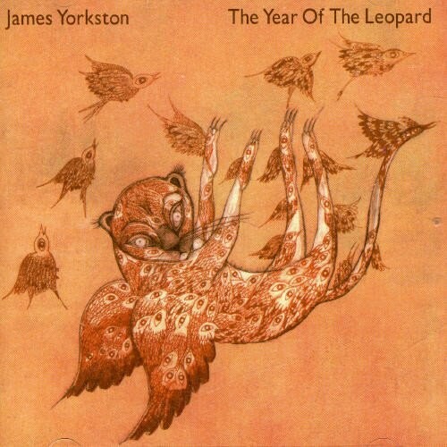 James Yorkston   The Year Of The Leopard   Cd