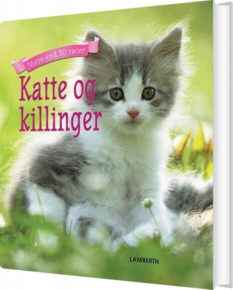 Katte Og Killinger   Christian Lamberth   Bog